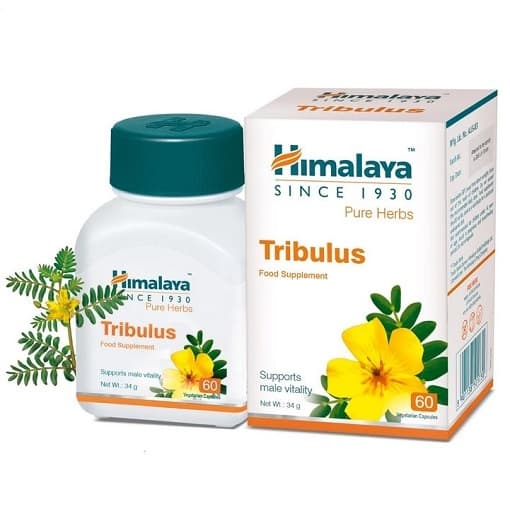 Tribulus Terrestris (Gokshura) - Tribulus de alta concentração e pureza

Tribu