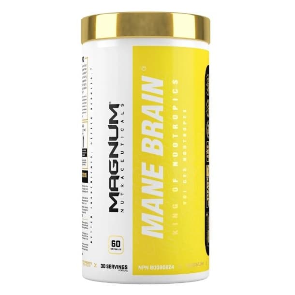 Magnum Mane Brain - O rei dos nootrópicos
Magnum Mane Brain é clinicamente fo